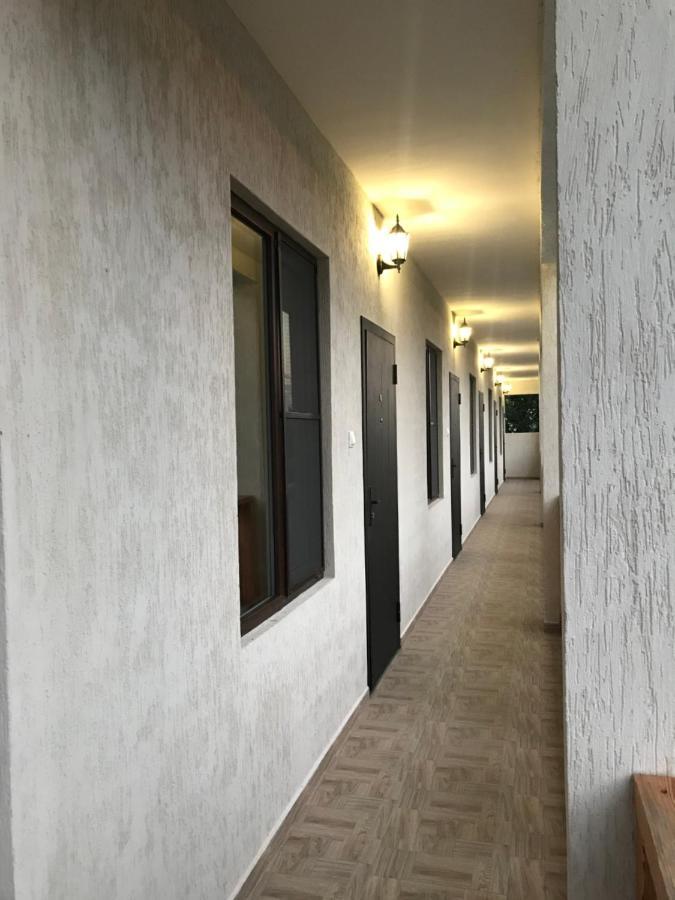 פיזונדה Guest House Dana מראה חיצוני תמונה