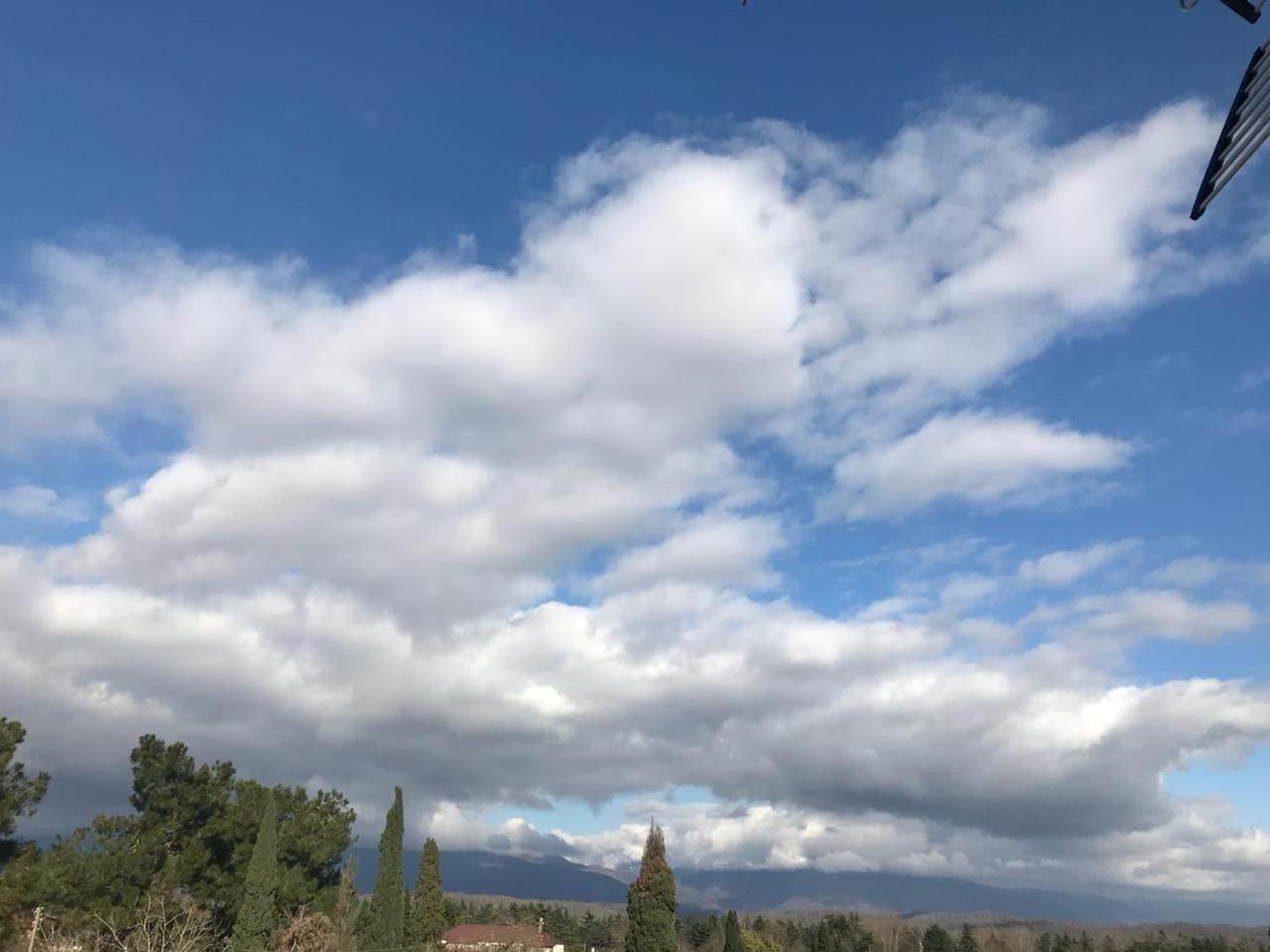 פיזונדה Guest House Dana מראה חיצוני תמונה
